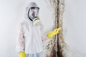 Why You Should Choose Our Mold Remediation Services in Lake Mohawk, OH